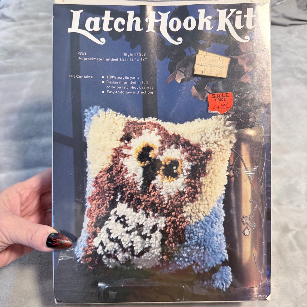Vintage 1970s Sew Simple Owl Latch Hook Kit T508 12x12 Retro Pillow Craft Sealed